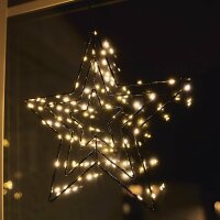 Weva LED Weihnachtsstern Fensterbild S1 warmwei&szlig;...